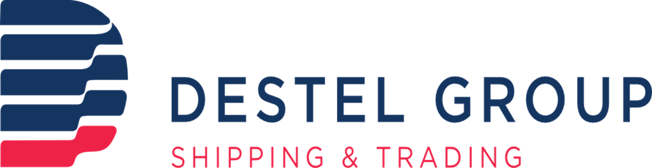 DESTEL GROUP P.C.